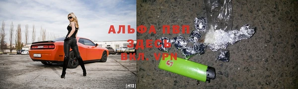 мяу мяу мука Пестово